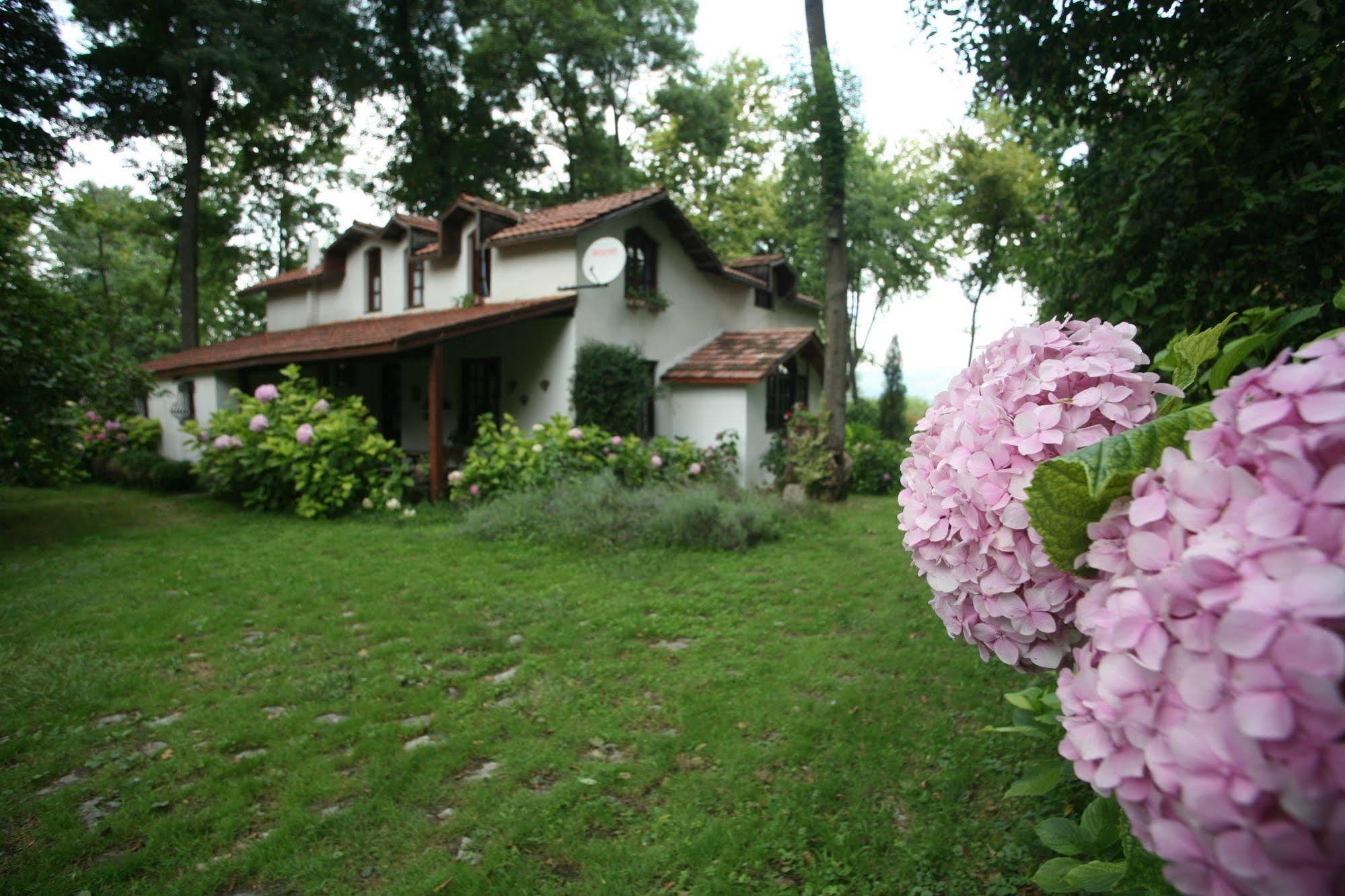Beta Home Sapanca Exterior photo